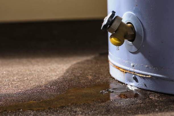 Best Water damage restoration near me  in Amargosa Valley, NV