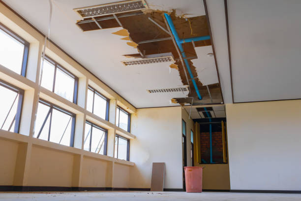 Best Flood restoration services  in Amargosa Valley, NV