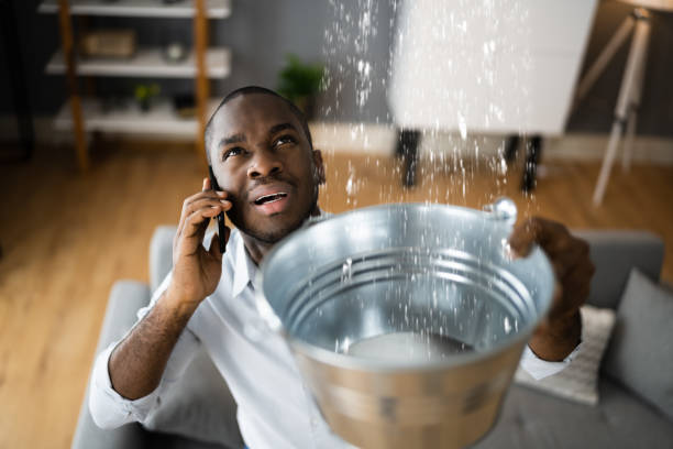 Best Water damage restoration near me  in Amargosa Valley, NV