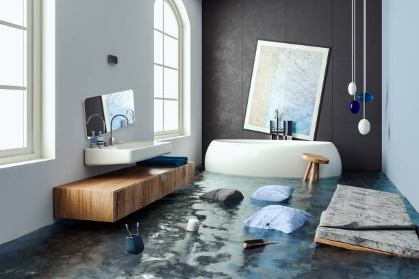 Best Professional water damage repair  in Amargosa Valley, NV