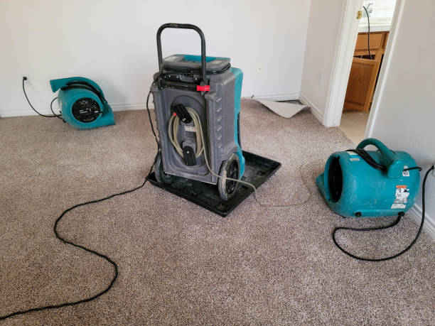Best Sewage cleanup and water damage restoration  in Amargosa Valley, NV