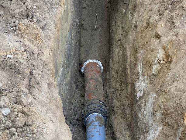 Best 24/7 water damage repair  in Amargosa Valley, NV