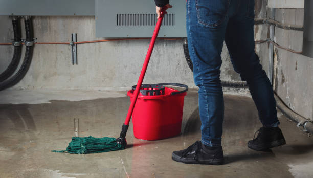 Best Carpet water damage restoration  in Amargosa Valley, NV