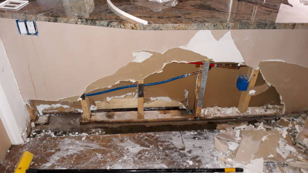 Best Flood damage cleanup  in Amargosa Valley, NV