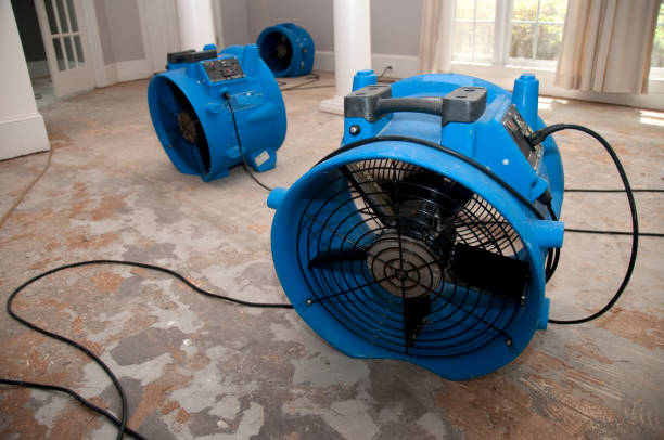 Best Flooded house restoration  in Amargosa Valley, NV