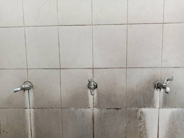 Best Carpet water damage restoration  in Amargosa Valley, NV