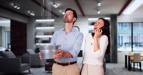 Best Local water damage restoration  in Amargosa Valley, NV